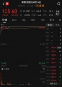 家芯片半导体龙头企业现身