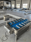 这类控制焦点手艺的